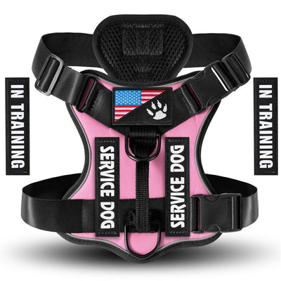 Shock Absorption Night Vision Reflective Pet Tactical Chest Strap